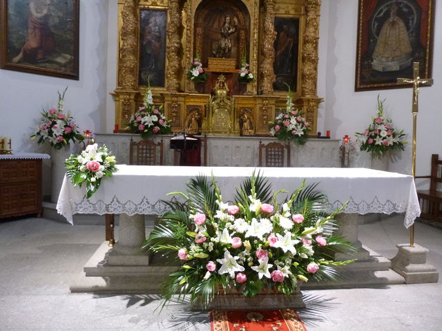 Sin Nombre